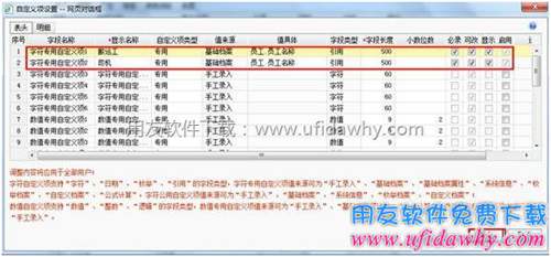 設(shè)置字符型自定義項圖示