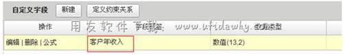 增加一個(gè)客戶年收入的自定義字段