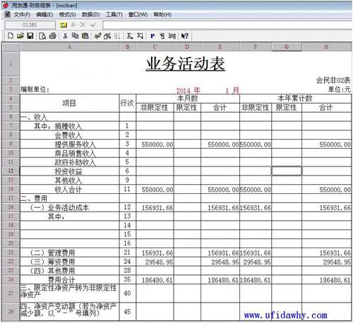 民間非盈利組織的業(yè)務(wù)活動表模板取數(shù)后圖示